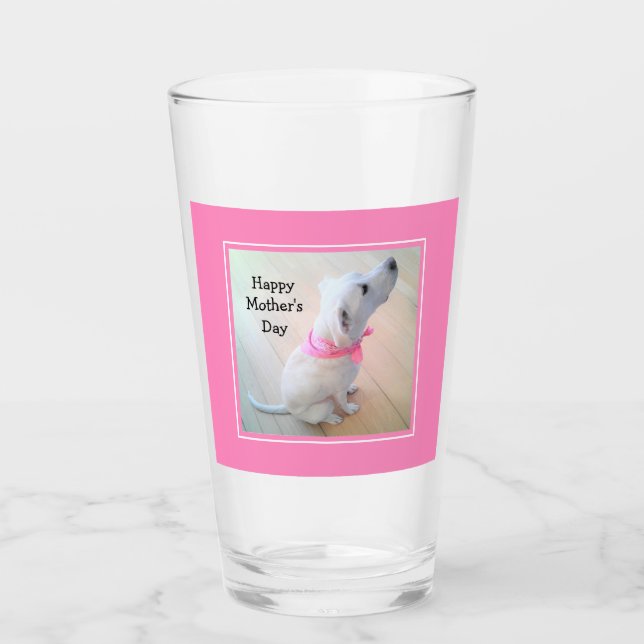 Foto de perro blanco lindo con bufanda rosada (Anverso)