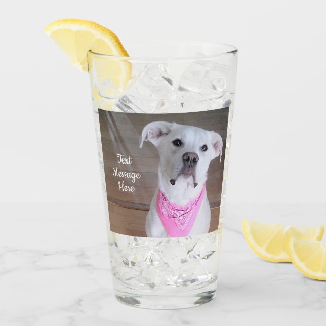 Foto de perro blanco lindo con bufanda rosada (Anverso (hielo))