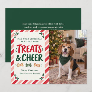 Foto de perro de Navidad 'Golosinas y alegría'