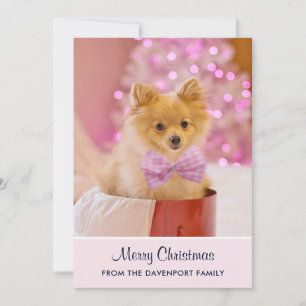 Foto de perro de Navidad lindo con lazo rosa y árb