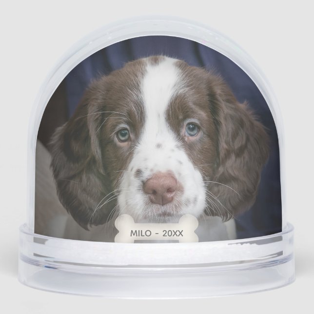 Foto de perro de porcino de personalizado Spaniel (Anverso)