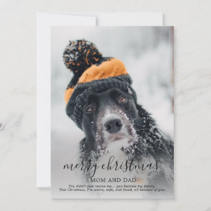 Foto de perro feliz navidad