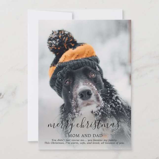 Foto de perro feliz navidad (Anverso)