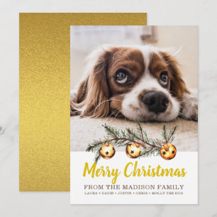 Foto de Perro Feliz Navidad Nombre de la Familia H