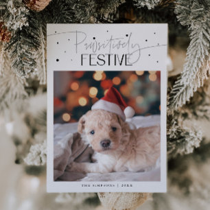 Foto de perro festiva y blanca Navidad absolutamen