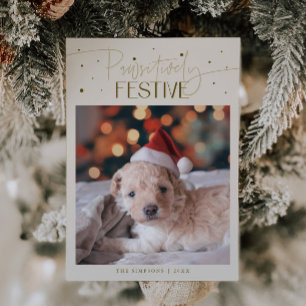 Foto de perro festiva y positiva crema de Navidad