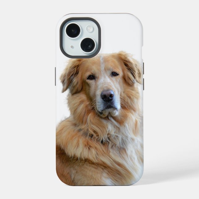 Foto de perro Golden Retriever (Reverso )