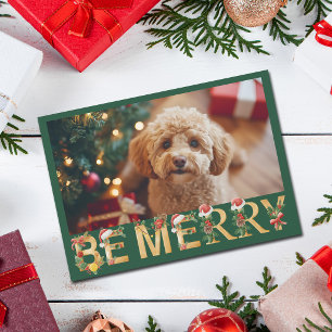 Foto de perro lindo Navidad Sea Feliz Mascota