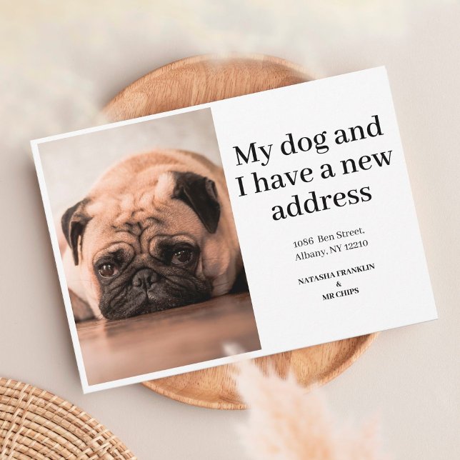 Foto de perro mascota anuncio de nueva dirección N (Subido por el creador)