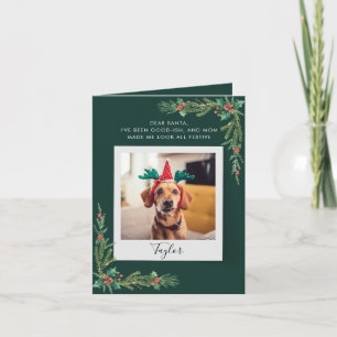Foto de perro moderno divertido Navidad