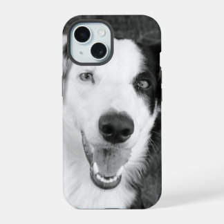Foto de perro Personalizable en blanco y negro