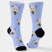 Foto de perro personalizada en calcetines azules c