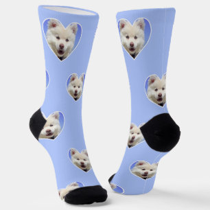 Foto de perro personalizada en calcetines azules c
