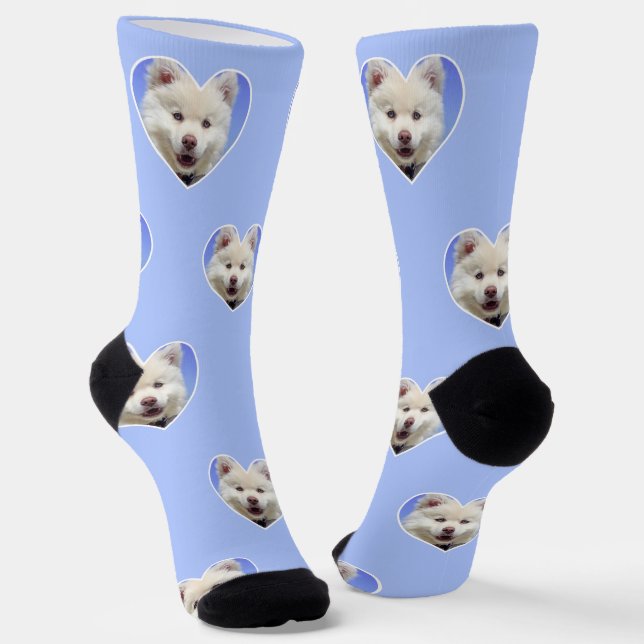 Foto de perro personalizada en calcetines azules c (Angular)