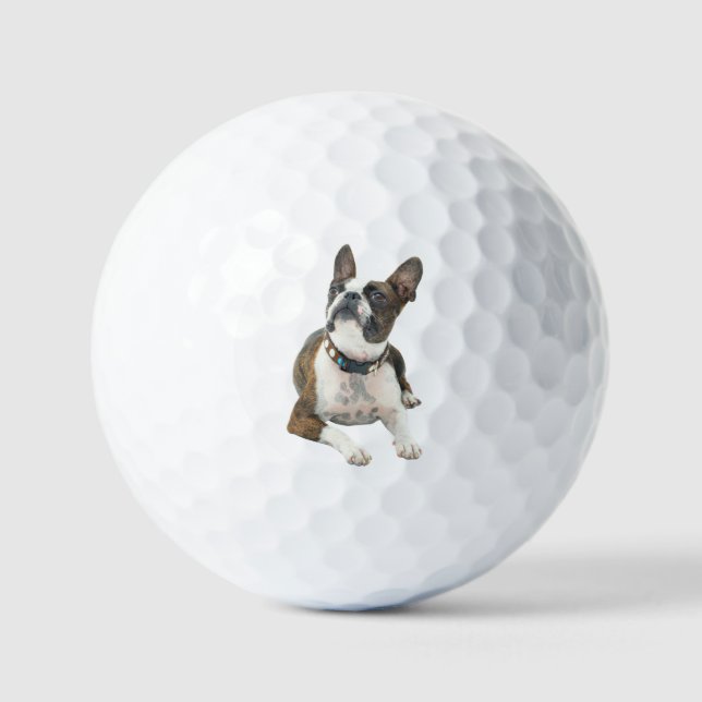 Foto de perro personalizada moderna de pelota de g (Anverso)