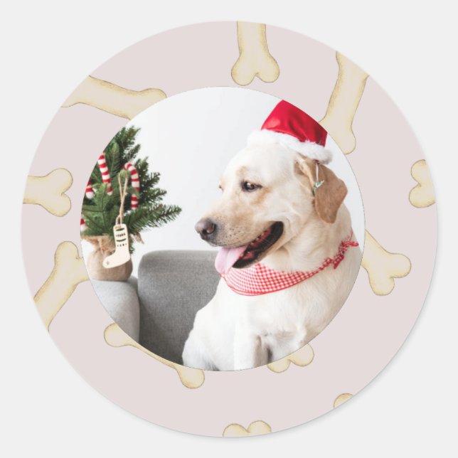 Foto de perro personalizado con Pegatinas de marco (Anverso)