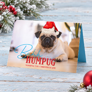 Foto de perro pug divertida Bah Humpug Navidad