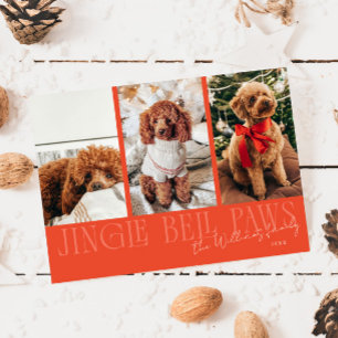 Foto de perro rojo de Navidad con campanas sonoras