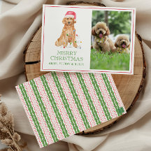 Foto de perro Santa de Navidad en acuarela