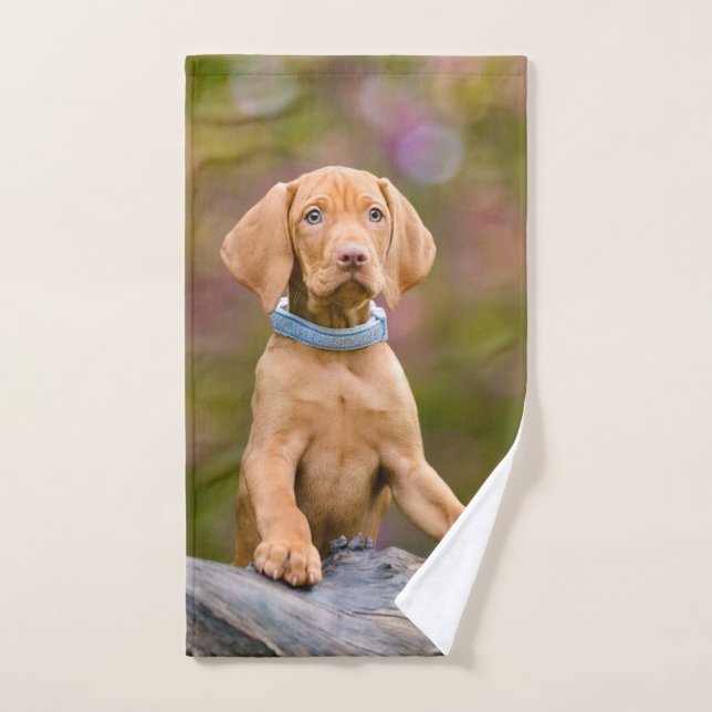 Foto de picapia de perro húngaro de Vizsla, muy ti (Toalla de mano)