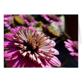 Foto de primer plano de la diáspora africana púrpu