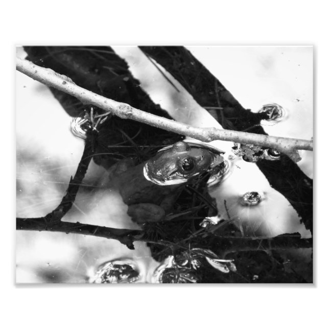 Foto de rana BW (Frente)