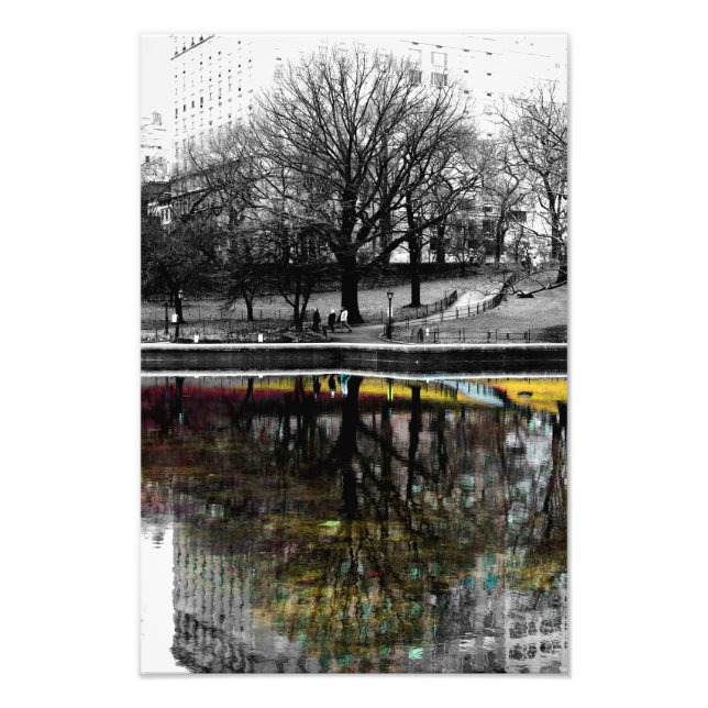 Foto de reflexión de árbol de Central Park (Frente)