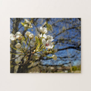 Foto de rompecabezas con flores de árbol blanco