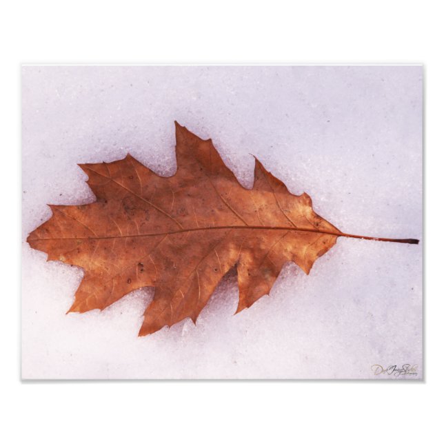 Foto de soledad (Frente)