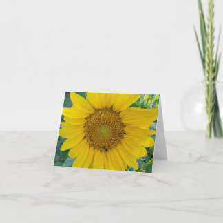 Foto de Sunflower