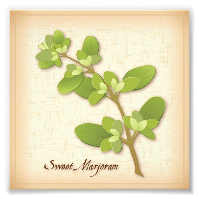 Foto de Sweet Marjoram Herb Print (Frente)