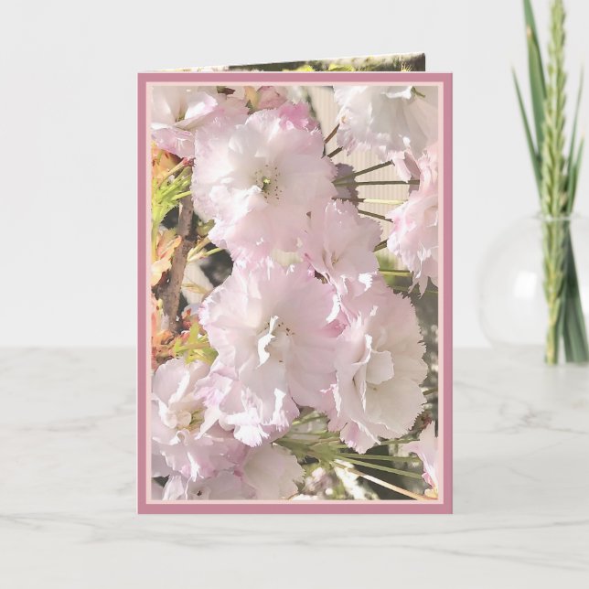 Foto de tarjeta rosa pálido y blanco con flores de (Anverso)
