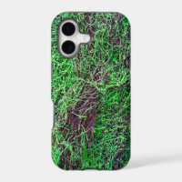 Foto de textura de musgo de bosque verde vibrante