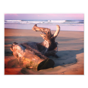 Foto de tronco de madera a la deriva en la playa d