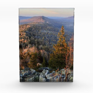 foto de un bosque otoñal montañoso, montañas, p