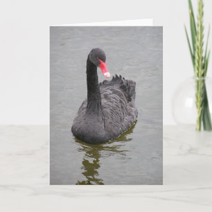 Foto de un cisne negro en una tarjeta de notas