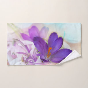 Foto de un crocus de Primavera Púrpura de Bonito