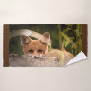Foto de un Pequeño Naranja Fox