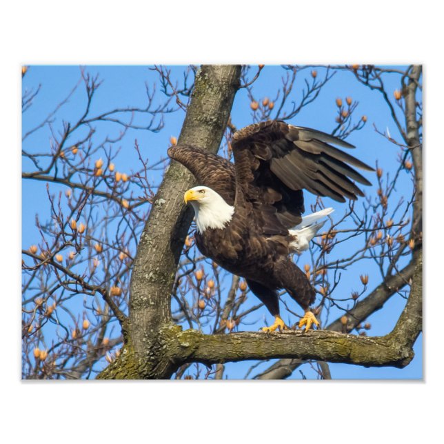 Foto ¡Dé Un Salto! (Frente)