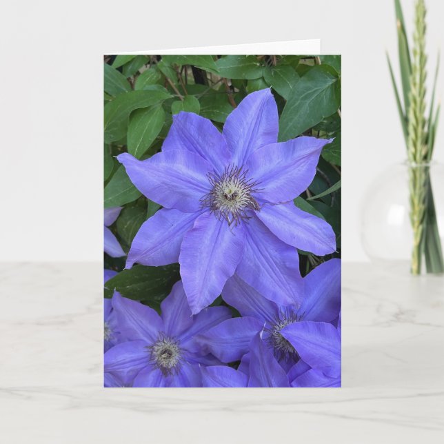 Foto de una Flor de Nueva Inglaterra Tarjeta de Fe (Anverso)