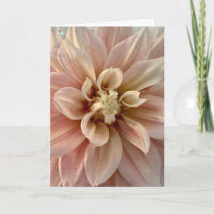 Foto de una Flor de Nueva Inglaterra Tarjeta de Fe