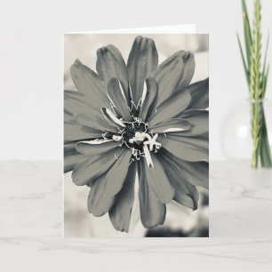 Foto de una Flor de Nueva Inglaterra Tarjeta de Fe
