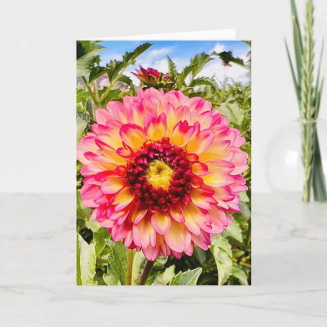 Foto de una Flor de Nueva Inglaterra Tarjeta de Fe (Anverso)