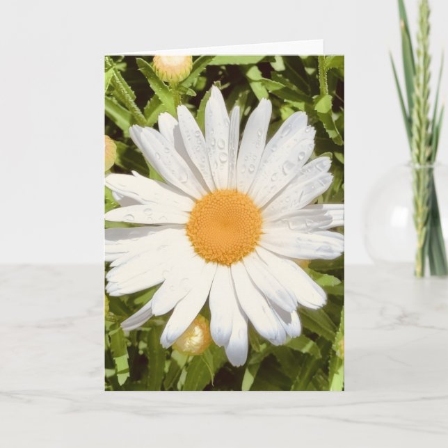 Foto de una Flor de Nueva Inglaterra Tarjeta de Fe (Anverso)