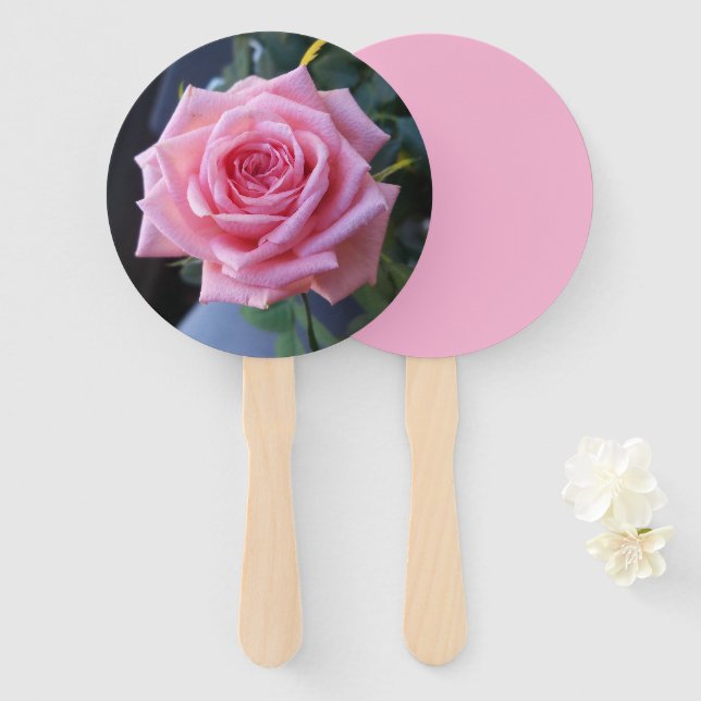 Foto de una rosa rosa en un abanico manual (Anverso y reverso)