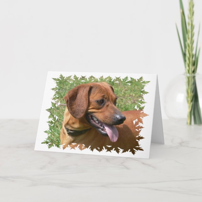 Foto de una tarjeta de saludo de perro de Dachshun (Anverso)
