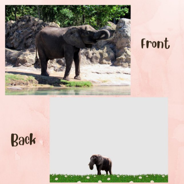 Foto de una tarjeta plana de elefante africana (elephant flat card)