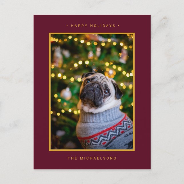 FOTO DE VACACIONES DE NAVIDAD | Poinsettias Dorada (Anverso)