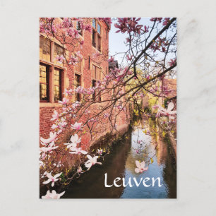 Foto de viaje de Leuven Bélgica Postal
