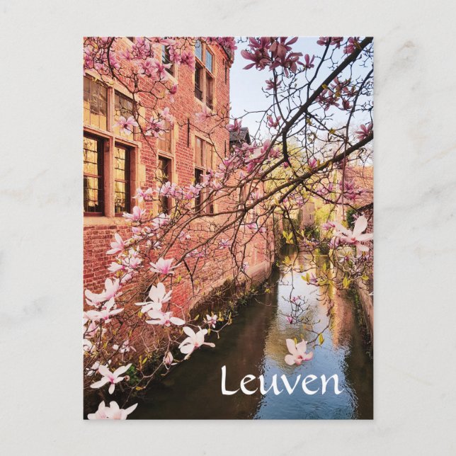 Foto de viaje de Leuven Bélgica Postal (Anverso)